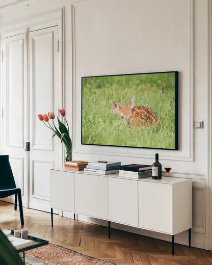 A Fawn by Aledanda. shown as a framed stretched canvas in a living room above a console. Available as a archival giclee rolled canvas, fine art paper, or poster print. SKU 53593i.