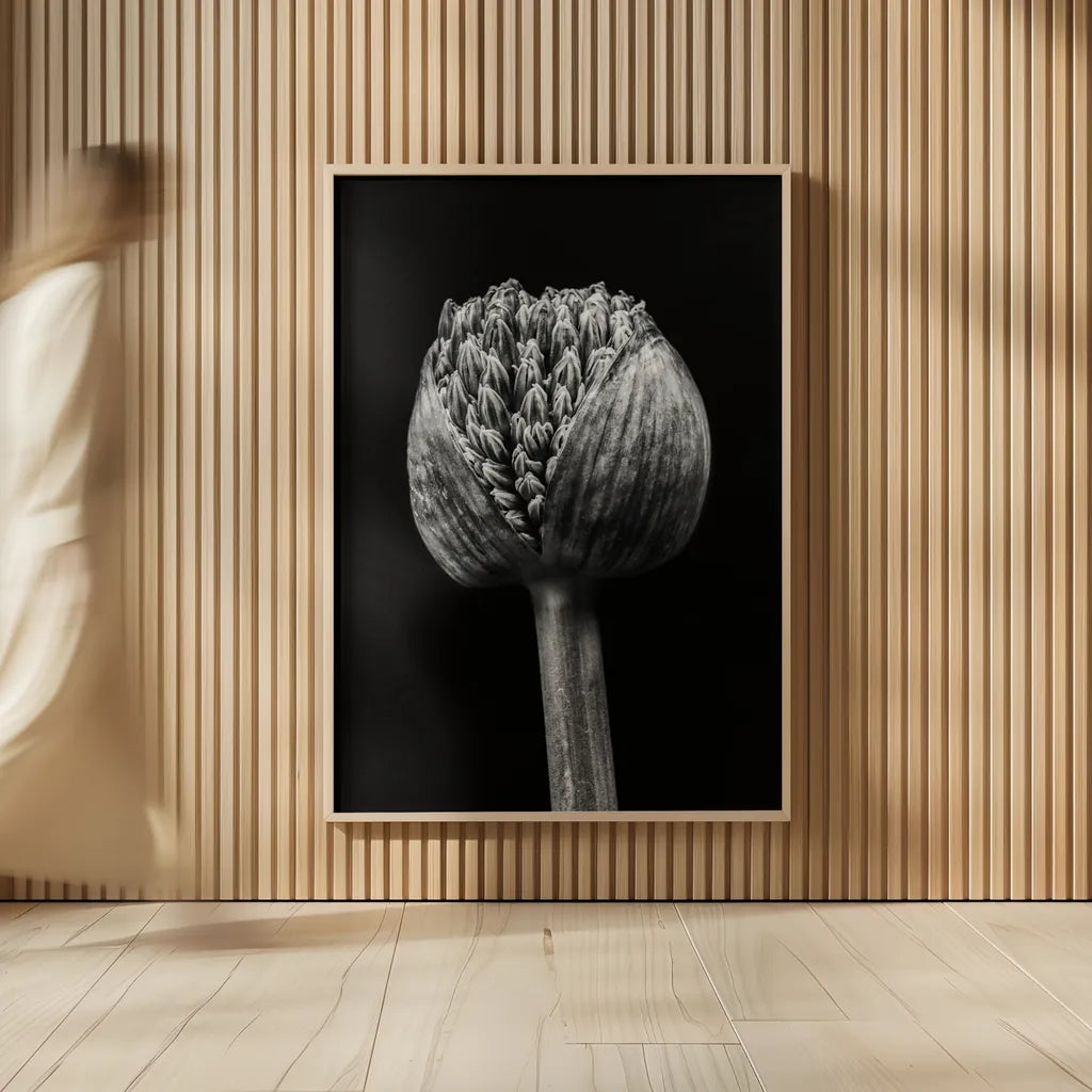 Allium I by Aledanda. shown as over sized large wall art. Available as an archival giclee rolled canvas, fine art paper, or poster print. SKU 55258h.