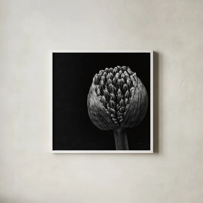 Allium II by Aledanda. Shown in a crisp white glass frame for a clean and minimalist style. Available as an archival giclee rolled canvas, fine art paper, or poster print. SKU 55259a.
