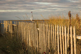 Along the Fence I by Aledanda. SKU 46208i. Archival Giclee Fine art print for wall decor.