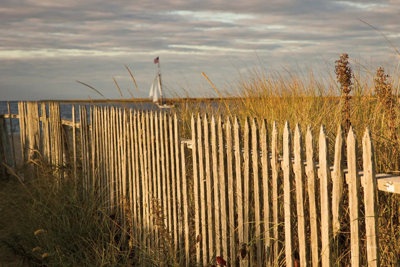 Along the Fence I by Aledanda. SKU 46208i. Archival Giclee Fine art print for wall decor.