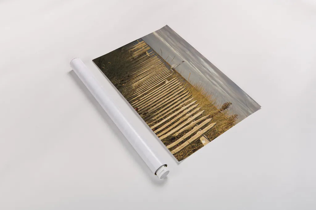 Along the Fence I by Aledanda. shown as a rolled paper print. Available as archival giclee rolled canvas, fine art paper, or poster print. SKU 46208i.