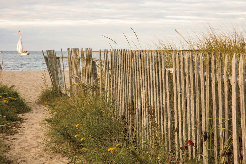 Along the Fence II by Aledanda. SKU 46209i. Archival Giclee Fine art print for wall decor.