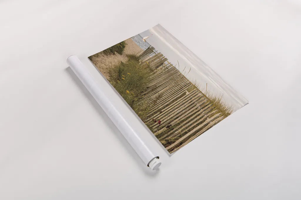 Along the Fence II by Aledanda. shown as a rolled paper print. Available as archival giclee rolled canvas, fine art paper, or poster print. SKU 46209i.