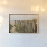 Along the Fence II by Aledanda. shown as a paper print in a natural frame. Available as a archival giclee rolled canvas, fine art paper, or poster print. SKU 46209i.