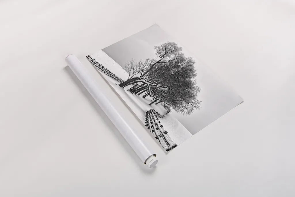 Along the Lane I by Aledanda. shown as a rolled paper print. Available as archival giclee rolled canvas, fine art paper, or poster print. SKU 38040i.