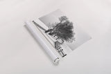 Along the Lane I by Aledanda. shown as a rolled paper print. Available as archival giclee rolled canvas, fine art paper, or poster print. SKU 38040i.