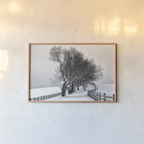 Along the Lane I by Aledanda. shown as a paper print in a natural frame. Available as a archival giclee rolled canvas, fine art paper, or poster print. SKU 38040i.