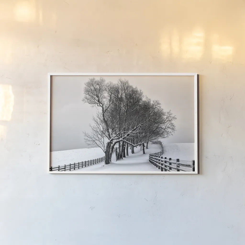 Along the Lane I by Aledanda. shown as a paper print in a white frame. Available as a archival giclee rolled canvas, fine art paper, or poster print. SKU 38040i.