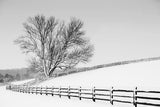 Along the Lane II by Aledanda. SKU 38041i. Archival Giclee Fine art print for wall decor.