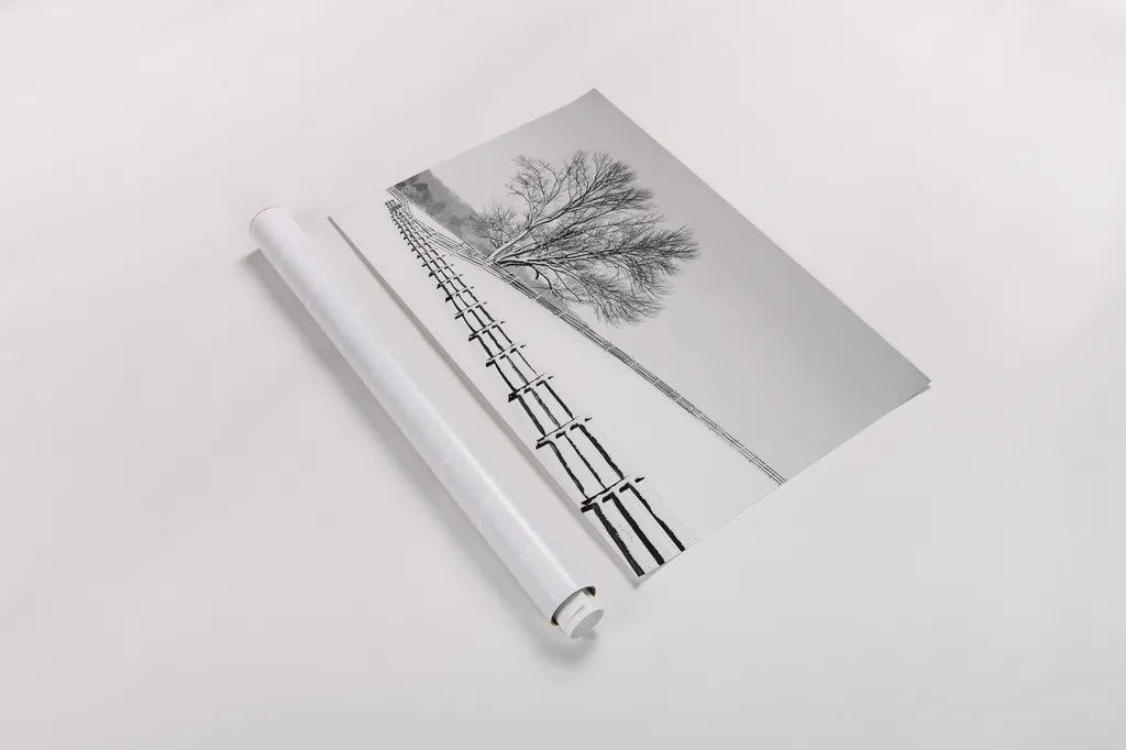 Along the Lane II by Aledanda. shown as a rolled paper print. Available as archival giclee rolled canvas, fine art paper, or poster print. SKU 38041i.