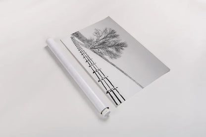 Along the Lane II by Aledanda. shown as a rolled paper print. Available as archival giclee rolled canvas, fine art paper, or poster print. SKU 38041i.