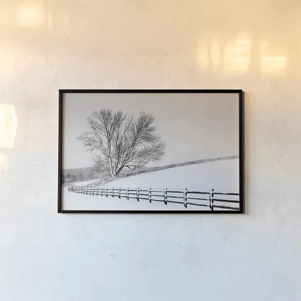 Along the Lane II by Aledanda. shown as a paper print in a black flame. Available as a archival giclee rolled canvas, fine art paper, or poster print. SKU 38041i.