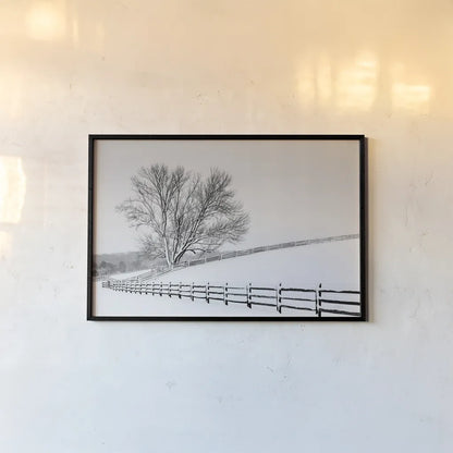 Along the Lane II by Aledanda. shown as a paper print in a black flame. Available as a archival giclee rolled canvas, fine art paper, or poster print. SKU 38041i.