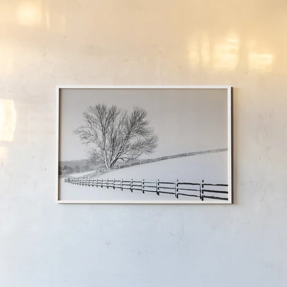 Along the Lane II by Aledanda. shown as a paper print in a white frame. Available as a archival giclee rolled canvas, fine art paper, or poster print. SKU 38041i.