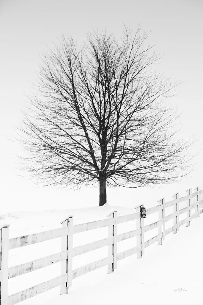 Along the Lane III by Aledanda. SKU 38042h. Archival Giclee Fine art print for wall decor.