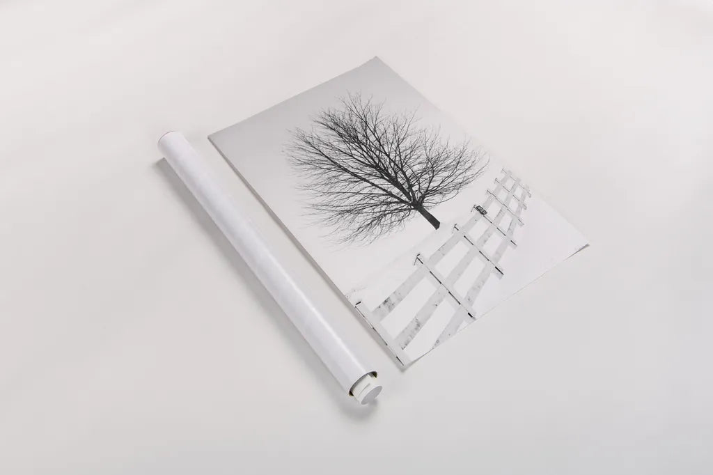 Along the Lane III by Aledanda. shown as a rolled paper print. Available as archival giclee rolled canvas, fine art paper, or poster print. SKU 38042h.