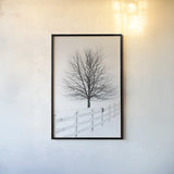 Along the Lane III by Aledanda. shown as a paper print in a black flame. Available as a archival giclee rolled canvas, fine art paper, or poster print. SKU 38042h.