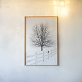 Along the Lane III by Aledanda. shown as a paper print in a natural frame. Available as a archival giclee rolled canvas, fine art paper, or poster print. SKU 38042h.