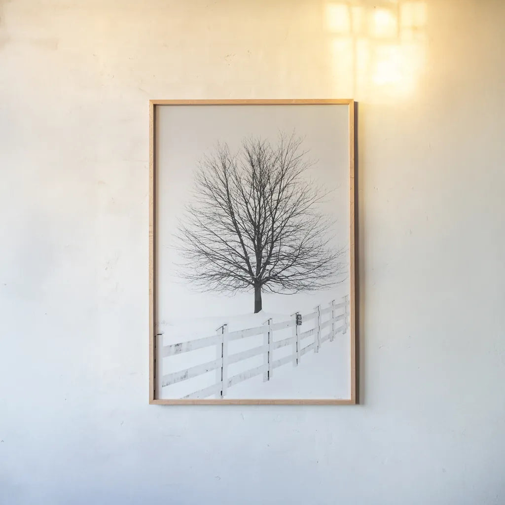 Along the Lane III by Aledanda. shown as a paper print in a natural frame. Available as a archival giclee rolled canvas, fine art paper, or poster print. SKU 38042h.