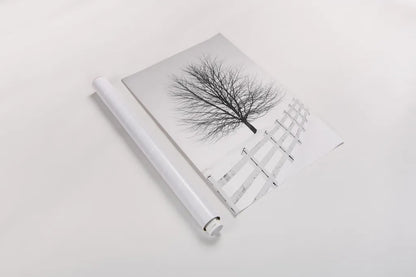 Along the Lane III No Sign by Aledanda. shown as a rolled paper print. Available as archival giclee rolled canvas, fine art paper, or poster print. SKU 84453h.