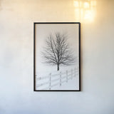 Along the Lane III No Sign by Aledanda. shown as a paper print in a black flame. Available as a archival giclee rolled canvas, fine art paper, or poster print. SKU 84453h.