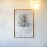 Along the Lane III No Sign by Aledanda. shown as a paper print in a natural frame. Available as a archival giclee rolled canvas, fine art paper, or poster print. SKU 84453h.