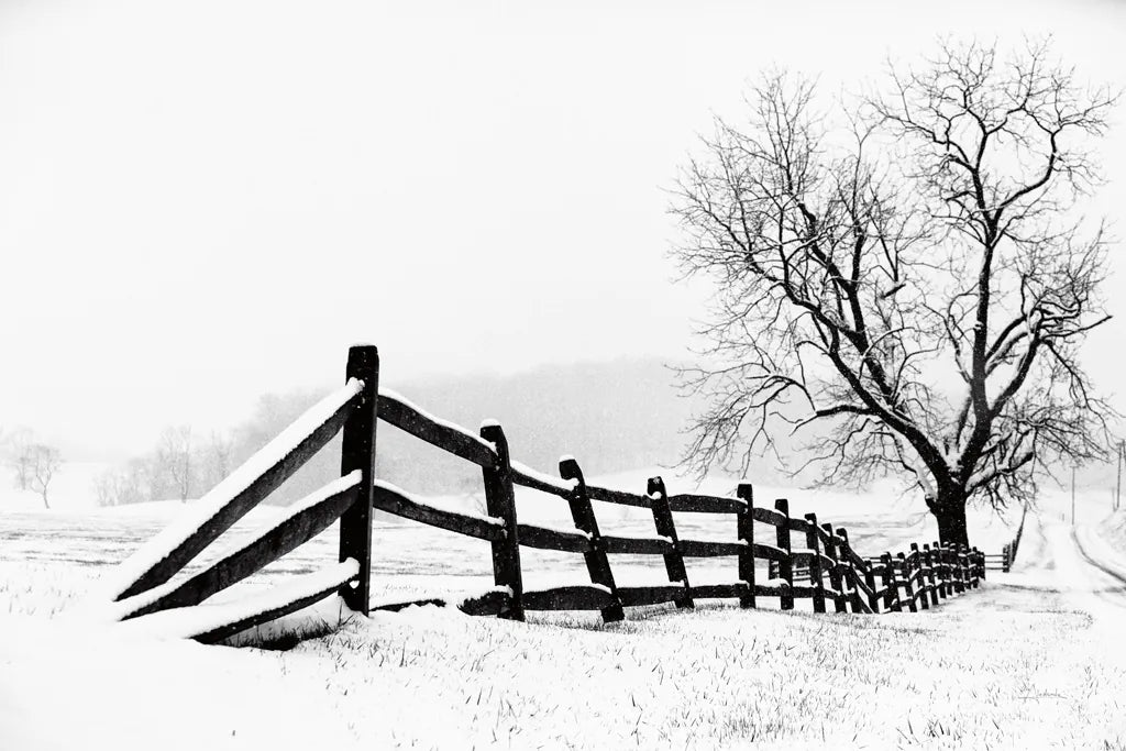 Along the Way by Aledanda. SKU 37467i. Archival Giclee Fine art print for wall decor.