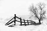 Along the Way by Aledanda. SKU 37467i. Archival Giclee Fine art print for wall decor.