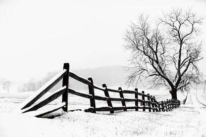 Along the Way by Aledanda. SKU 37467i. Archival Giclee Fine art print for wall decor.