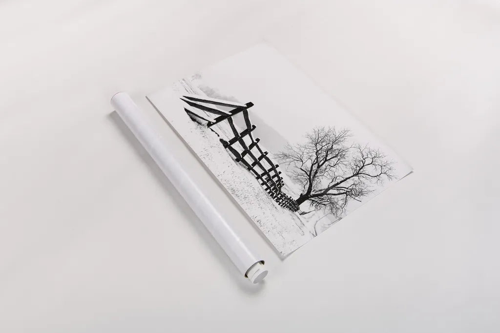 Along the Way by Aledanda. shown as a rolled paper print. Available as archival giclee rolled canvas, fine art paper, or poster print. SKU 37467i.