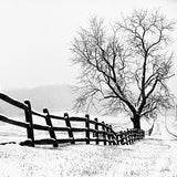 Along the Way Crop by Aledanda. SKU 37467a. Archival Giclee Fine art print for wall decor.