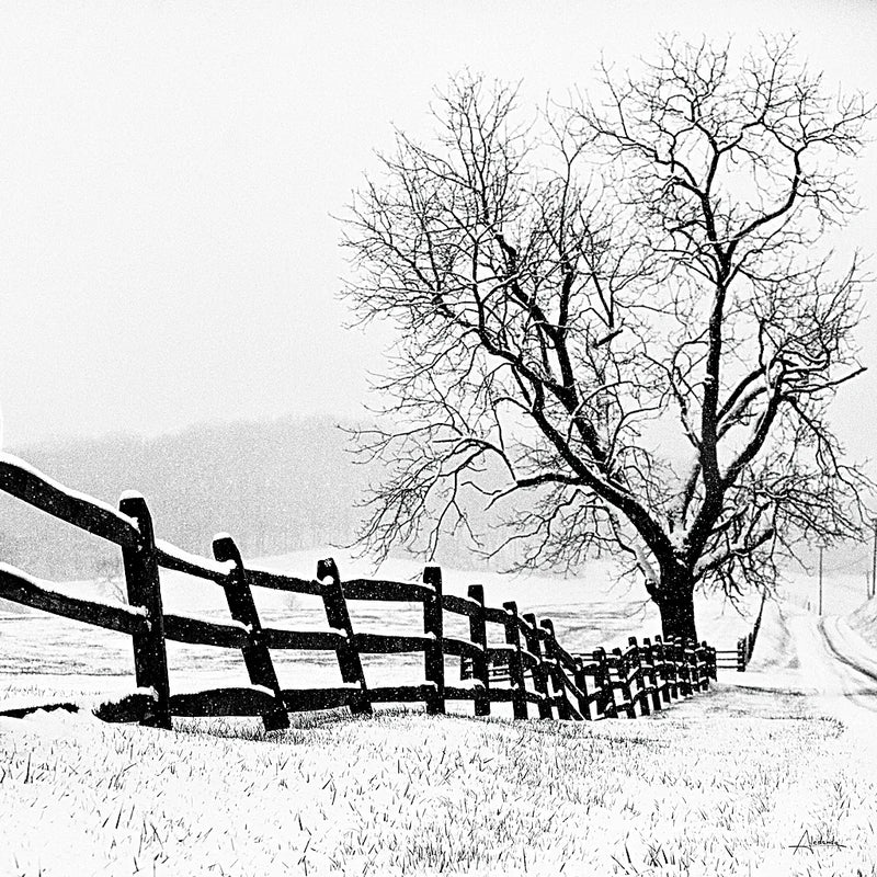 Along the Way Crop by Aledanda. SKU 37467a. Archival Giclee Fine art print for wall decor.