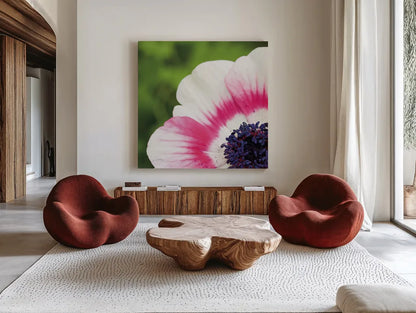 Anemone Blossom II Square by Aledanda. Shown as extra-large giant wall art in a modern living room. Available as an archival giclee rolled canvas, fine art paper, or poster print. SKU 37466a.