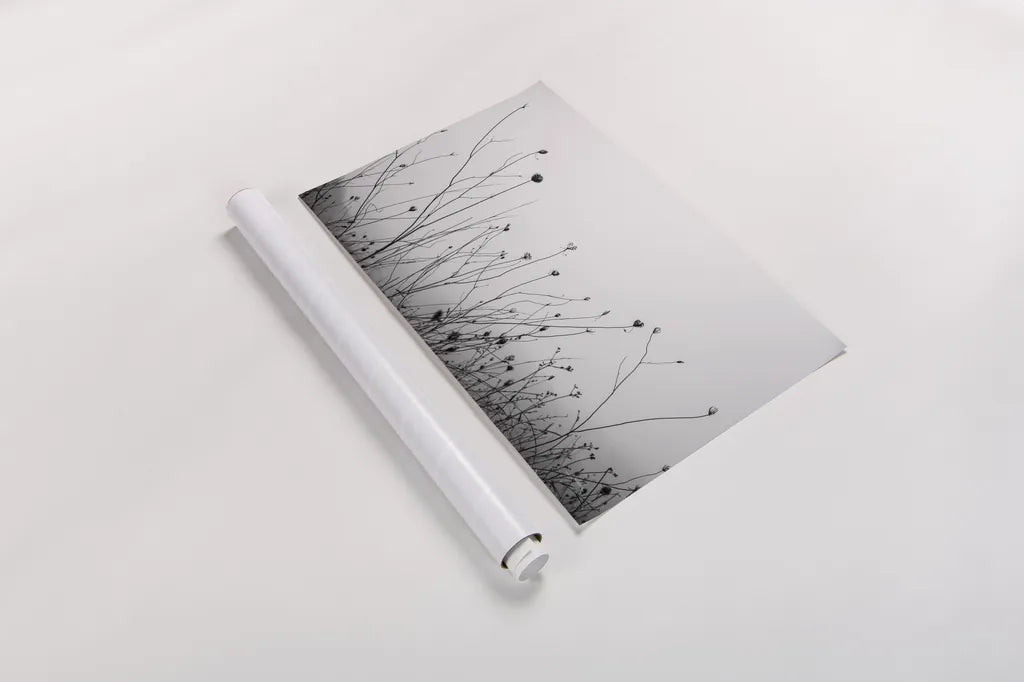 Autumn Grasses by Aledanda. shown as a rolled paper print. Available as archival giclee rolled canvas, fine art paper, or poster print. SKU 71236i.