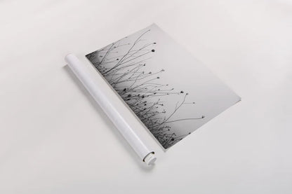 Autumn Grasses by Aledanda. shown as a rolled paper print. Available as archival giclee rolled canvas, fine art paper, or poster print. SKU 71236i.