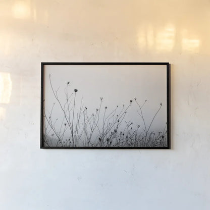 Autumn Grasses by Aledanda. shown as a paper print in a black flame. Available as a archival giclee rolled canvas, fine art paper, or poster print. SKU 71236i.