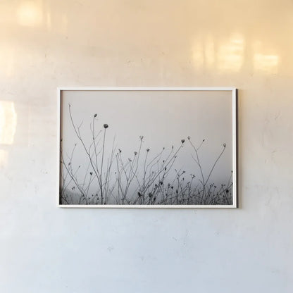 Autumn Grasses by Aledanda. shown as a paper print in a white frame. Available as a archival giclee rolled canvas, fine art paper, or poster print. SKU 71236i.