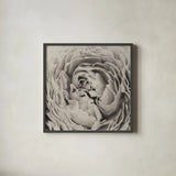 BW Peony by Aledanda. Shown in a sleek black glass frame for a contemporary gallery look. Available as an archival giclee rolled canvas, fine art paper, or poster print. SKU 43251a.