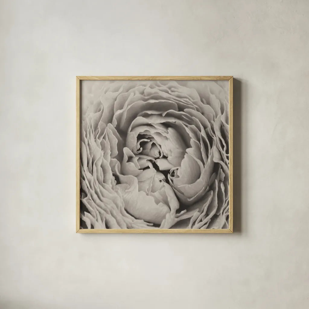 BW Peony by Aledanda. Shown in a natural wood glass frame for a timeless modern aesthetic. Available as an archival giclee rolled canvas, fine art paper, or poster print. SKU 43251a.