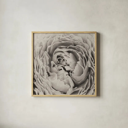 BW Peony by Aledanda. Shown in a natural wood glass frame for a timeless modern aesthetic. Available as an archival giclee rolled canvas, fine art paper, or poster print. SKU 43251a.