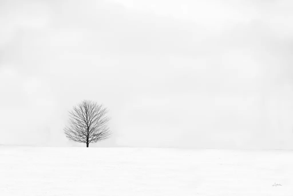 Bare Winter by Aledanda. SKU 37445i. Archival Giclee Fine art print for wall decor.