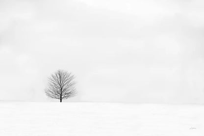 Bare Winter by Aledanda. SKU 37445i. Archival Giclee Fine art print for wall decor.