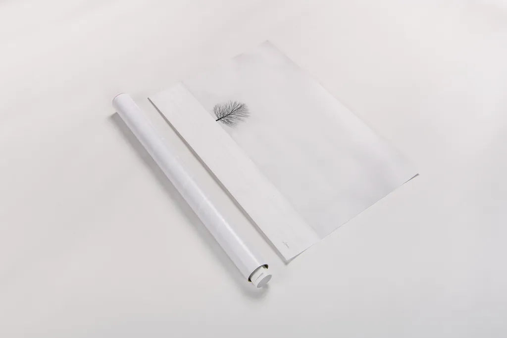 Bare Winter by Aledanda. shown as a rolled paper print. Available as archival giclee rolled canvas, fine art paper, or poster print. SKU 37445i.