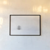 Bare Winter by Aledanda. shown as a paper print in a black flame. Available as a archival giclee rolled canvas, fine art paper, or poster print. SKU 37445i.