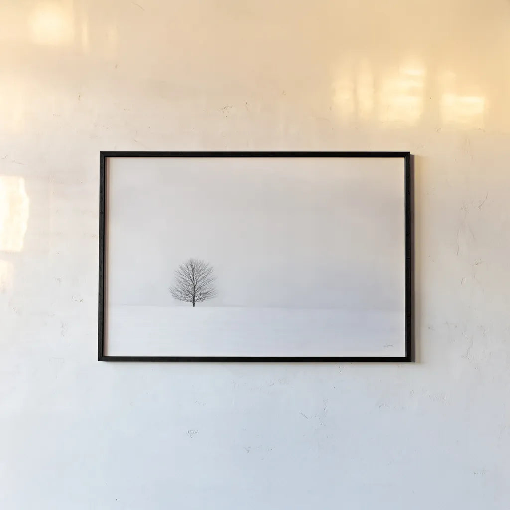 Bare Winter by Aledanda. shown as a paper print in a black flame. Available as a archival giclee rolled canvas, fine art paper, or poster print. SKU 37445i.