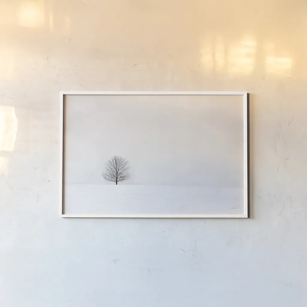 Bare Winter by Aledanda. shown as a paper print in a white frame. Available as a archival giclee rolled canvas, fine art paper, or poster print. SKU 37445i.