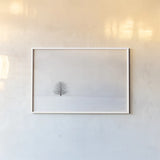 Bare Winter by Aledanda. shown as a paper print in a white frame. Available as a archival giclee rolled canvas, fine art paper, or poster print. SKU 37445i.