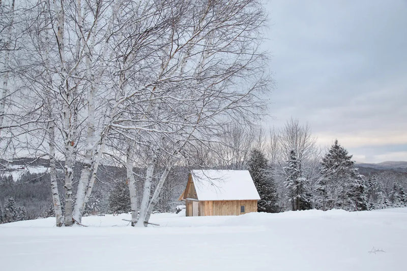 Barn with a View by Aledanda. SKU 60527i. Archival Giclee Fine art print for wall decor.