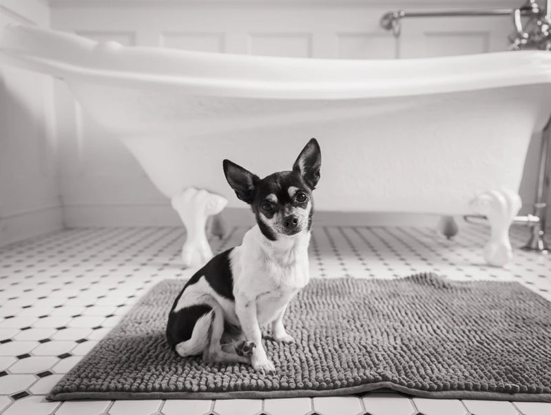 Bath Time by Aledanda